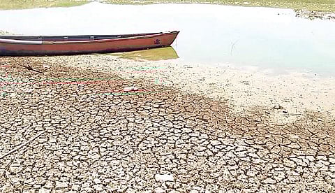 மராமத்துப் பணிக்காக நீர் வரத்து நிறுத்தப்பட்ட நிலையில், வறண்டு காணப்படும் வீராணம் ஏரி.