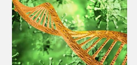 பிரிட்டனில் உருமாற்றம் அடைந்த கரோனா வைரஸால் தீவிர பாதிப்பில்லை: ஆய்வில் தகவல்