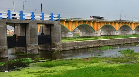 மதுரை வைகை ஆற்றின் குறுக்கே தடுப்பணைகள் கட்டியது வீணானதா? கழிவுநீர் தேங்குவதால் பரவும் தொற்று நோய்கள்