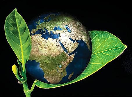 பசுமை சிந்தனைகள் 01: நடப்பது எல்லாம் நன்மைக்குத்தானா?