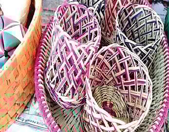 திருச்செந்தூர் அருகே அடைக்கலாபுரம் கிராமத்தில் பனைத் தொழிலில் ஈடுபட்டுள்ள பிடெக் பட்டதாரி இளைஞர் அண்டோ பிரைட்டன்.