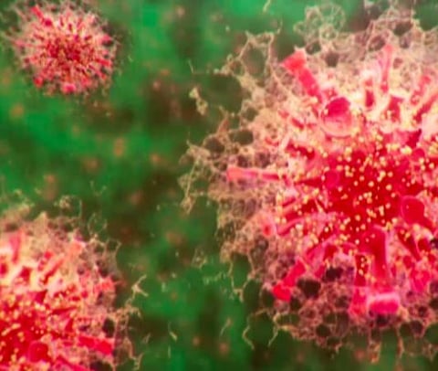 பிரதிநிதித்துவப் படம்