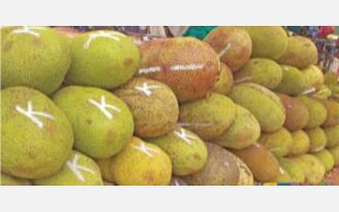 கேரளாவில் இருந்து தமிழகத்துக்கு பலாப்பழ வரத்து அதிகரித்துள்ளது. தேனி மாவட்டம் சின்னமனூரில் மொத்த வியாபாரத்துக்காக அடுக்கி வைக்கப்பட்டுள்ள பலாப்பழங்கள்.