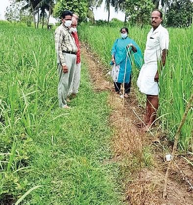 கடலூர் அருகே குணமங்கலம் கிராமத்தில் காட்டுப் பன்றிகளால் பயிர் சேதமாவதை கட்டுப்படுத்துவது குறித்த செயல் விளக்கம் அளிக்கப்பட்டது.