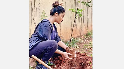 கோலிவுட் ஜங்ஷன்: பசுமை அஞ்சலி! 