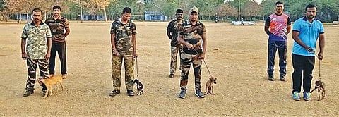 தேனி மாவட்டம் வைகை அணைப் பகுதியில் உள்ள தமிழ்நாடு வனவியல் பயிற்சி கல்லூரியில் பயிற்சிபெறும் சிப்பிப்பாறை நாய் குட்டிகளுடன் பயிற்சியாளர்கள்.