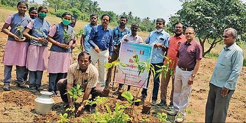 குறிச்சிக்கோட்டை கிராமத்தில் ‘அடர் வனம்' உருவாக்கும் திட்டம் :