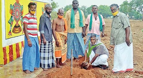 சோழவந்தான் ஆஞ்சநேயர் கோயில் வளாகத்தில் தென்னங்கன்று நட்ட வேன் ஓட்டுநர்கள் சங்கத்தினர்.