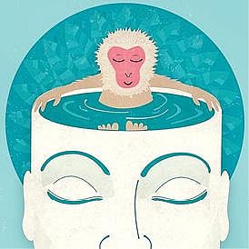 சூபி தரிசனம்: துறவிகளாக வேடமிட்ட குரங்குகள்