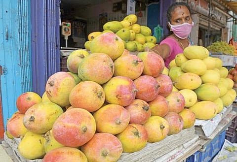 யானைக்கல் பகுதியில் விற்பனைக்கு அடுக்கி வைக்கப்பட்டுள்ள மாம்பழங்கள். படம்: ஜி.மூர்த்தி