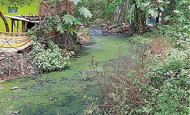 சேத்தியாத்தோப்பு அருகே உள்ள கானூர் கிராமத்தில் தெருவில் வழிந்தோடும் சாக்கடை கழிவு நீர்.