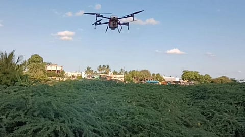 அரியலூர் மாவட்டம் ஜெயங்கொண்டம் பகுதியில் சீமைக்கருவேல மரங்கள் மீது ட்ரோன் மூலம் ரசாயன மருந்து தெளிக்கப்படுகிறது.