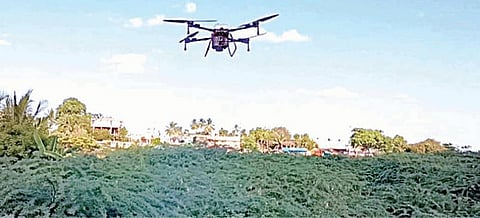 அரியலூர் மாவட்டம் ஜெயங்கொண்டம் பகுதியில் சீமை கருவேல மரங்கள் மீது மருந்து தெளிக்கும் பணியில் ஈடுபட்டுள்ள  டிரோன்.