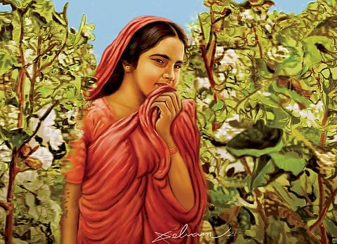 கல்லால் அடித்துக் கனிந்த கனி :