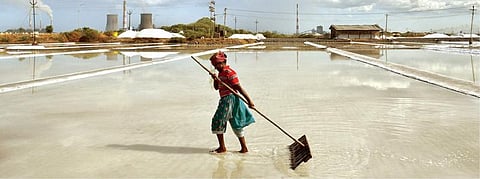 தூத்துக்குடி பகுதியில் உள்ள உப்பளம் ஒன்றில் கூட்டமில்லாமல் தனியாக வேலை செய்யும் பெண் தொழிலாளி. 		 படம்: என்.ராஜேஷ்