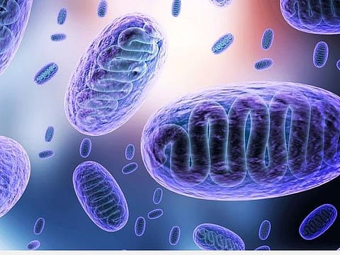 பிரதிநிதித்துவப்படம்