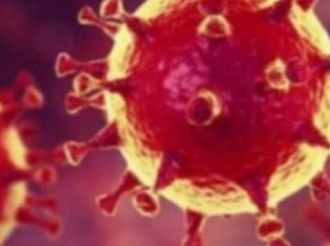 பிரதிநிதித்துவப் படம்