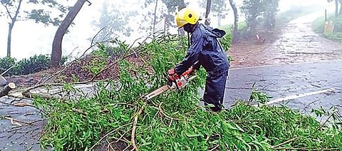 தொடர் மழையால் மண் சரிவு அபாயம் -  நீலகிரிக்கு பேரிடர் மீட்புக் குழு வருகை :
