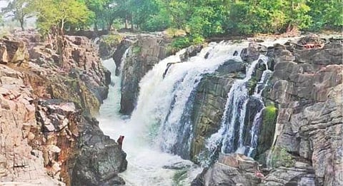 புயல் காரணமாக காவிரி நீர்பிடிப்புப் பகுதியில் பெய்த மழையை தொடர்ந்து, தருமபுரி மாவட்டம் ஒகேனக்கல் காவிரியாற்றில் நீர் வரத்து அதிகரித்துள்ளது. இதனால், அங்குள்ள பாறைகளில் இருந்து பள்ளத்தில் அருவியாக கொட்டும் தண்ணீர்.
