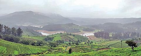 காற்றுடன் கன மழை பெய்து வருவதால் 18 செ.மீ. பதிவுகன மழை: அதிகபட்சமாக பந்தலூரில்