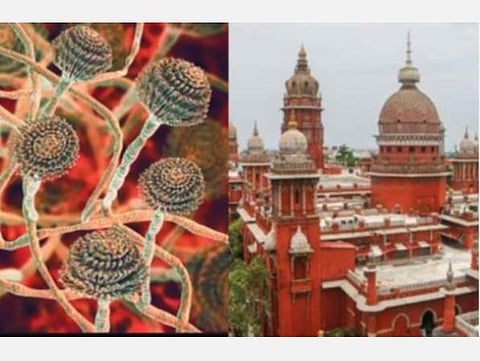 கரோனா தொற்றிலிருந்து குழந்தைகளைப் பாதுகாக்க நடவடிக்கை; கருப்பு பூஞ்சை நோயைக் கட்டுத்த நடவடிக்கை: உயர் நீதிமன்றம் உத்தரவு