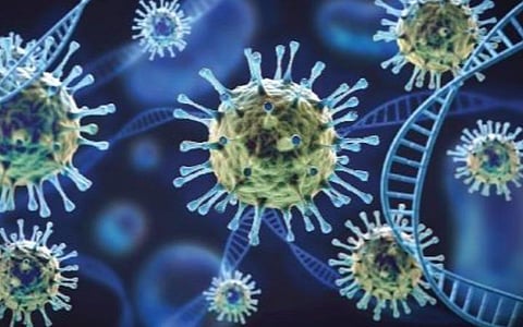 கரோனா தடுப்பு நடவடிக்கைகளில் பொது மக்கள் பங்கேற்பு வேண்டும்: இணைய வழி கருத்தரங்கில் வலியுறுத்தல்