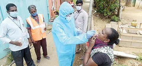 பழைய காட்பாடி பகுதியில் வீடு, வீடாக சென்று பொதுமக்களுக்கு கரோனா பரிசோதனைக்கான பிசிஆர் மாதிரிகளை சேகரித்த மாநகராட்சி மற்றும் சுகாதார பணியாளர்கள். படம்: வி.எம்.மணிநாதன்.