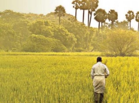 பிரதிநிதித்துவப் படம்.