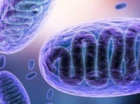 பிரதிநிதித்துவப் படம்.