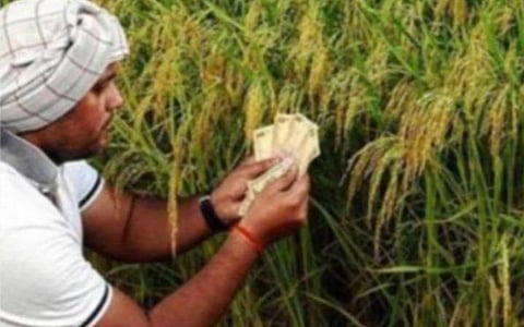 கூட்டுறவு வங்கிகளில் பயிர்க்கடன்கள் தள்ளுபடி புகாரை விசாரிக்க முடிவு: சங்கத் தலைவர்கள், செயலர்கள் கலக்கம்