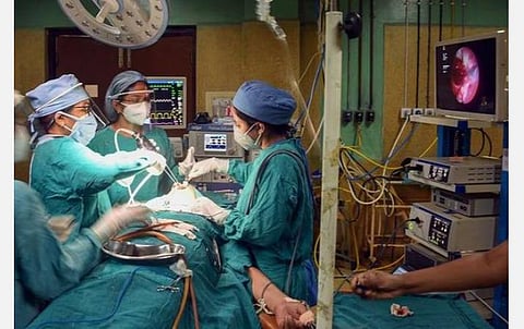 கருப்பு பூஞ்சை ஏற்படுவதற்கான காரணம் என்ன?