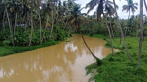 குமரியில் கனமழையால் நிரம்பும் அணைகள்: பெருஞ்சாணி நீர்மட்டம் 68 அடியாக உயர்வு
