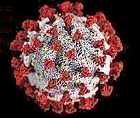 கடலூர், விழுப்புரம் மாவட்டங்களில் -  கரோனாவுக்கு 18 பேர் உயிரிழப்பு :