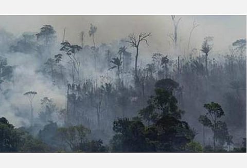 அமேசான் காடு அழிப்பு மோசமடைந்து வருகிறது: பிரேசில் துணை அதிபர்