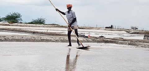 தூத்துக்குடி அருகே மழைநீர் தேங்கிய உப்பளத்தில் சிறிதளவு படிந்துள்ள உப்பை வாறும் பணியில் ஈடுபட்டுள்ள  தொழிலாளி. படம்: என்.ராஜேஷ்﻿﻿