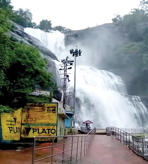 குற்றாலம் பிரதான அருவியில் நேற்று ஏற்பட்ட வெள்ளப்பெருக்கு