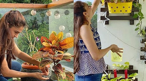 ஆண்ட்ரியாவின் ‘பசுமை’ சவால்