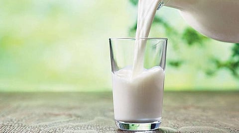 நாளை உலக பால் தினம்: பால்வளத் துறை மேம்பாட்டுக்கு தொடர்ந்து ஆதரவு- நபார்டு வங்கி தலைமை பொது மேலாளர் தகவல்