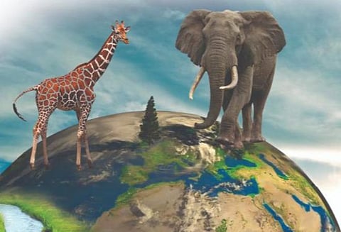 உலக சுற்றுச்சூழல் தின இணைய வழி வினாடி வினா, கலந்துரையாடல்; பங்கேற்கும் அனைவருக்கும் அரசு சான்றிதழ்