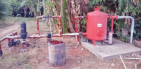 நுண்ணூட்ட குறைபாடுகளால் பயிர்களின் விளைச்சல் பாதிப்பு :  வேளாண் விஞ்ஞானிகள் அறிவுரை