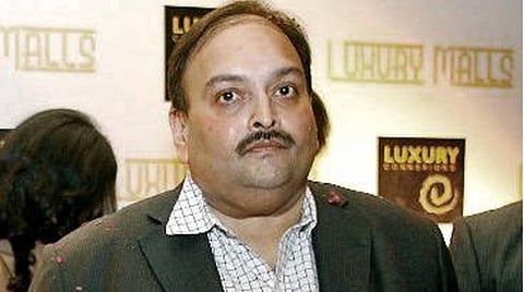 விசாரணையை எதிர்கொள்ள தயாராக உள்ளேன்; சிகிச்சைக்காக இந்தியாவிலிருந்து வெளியேறினேன்: டொமினிக்கன் நீதிமன்றத்தில் மெகுல் சோக்சி வாக்குமூலம்