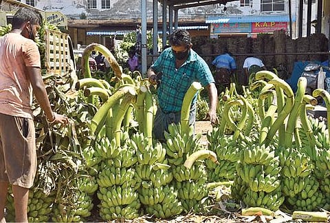 கரோனா ஊரடங்கில் புதிய தளர்வுகள் அமலுக்கு வந்ததை தொடர்ந்து தூத்துக்குடியில் பாளையங்கோட்டை சாலையில்  இயங்கிய வாகனங்கள். (அடுத்த படம்) தூத்துக்குடி காமராஜ் காய்கறிச் சந்தையில் ஏல முறையில் விற்பனை செய்வதற்காக குவித்து வைக்கப்பட்டிருந்த வாழைத்தார்கள். 				  படங்கள்: என்.ராஜேஷ்