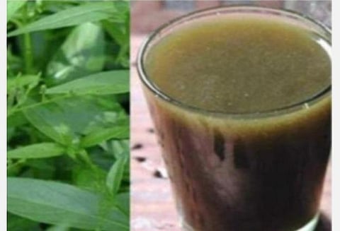 காரைக்காலில் அரசு சார்பில் இலவச கபசுரக் குடிநீர் சூரணம் வழங்கும் திட்டம்: தமிழகப் பகுதியினரும் பயன்படுத்திக் கொள்ளலாம்