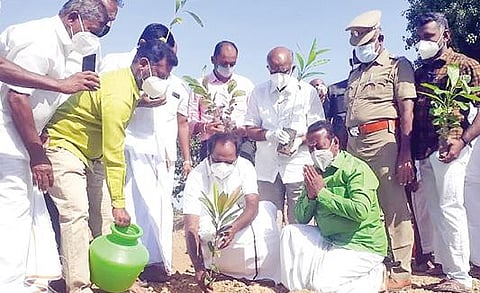 புதுக்கோட்டை மாவட்டம் குப்பக்குடி ஊராட்சி கல்யாணபுரத்தில் நேற்று மரக்கன்று நடுகிறார் மாநில சுற்றுச்சூழல் துறை அமைச்சர் சிவ.வீ.மெய்யநாதன்.