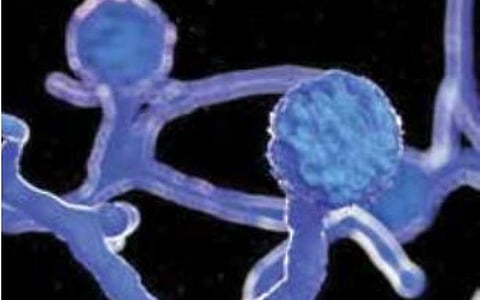 கோப்புப்படம்