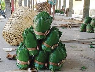 ஆத்தூர் பகுதியில் கொடிக்கால்களில் பயிரிடப்பட்டுள்ள வெற்றிலை. (அடுத்த படம்) பக்கத்து ஊர்களுக்கு அனுப்புவதற்காக வைக்கப்பட்டுள்ள வெற்றிலை கட்டுகள்.