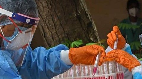 புதுச்சேரியில் 442 பேருக்கு கரோனா தொற்று; மேலும் 9 பேர் உயிரிழப்பு