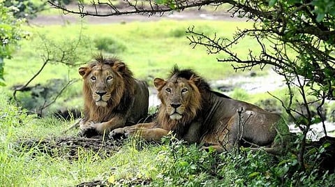 கோப்புப் படம்