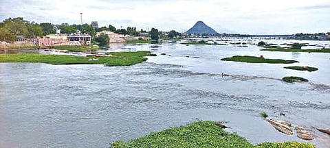 மேட்டூர் அணையில் இருந்து பாசனத்துக்காக தண்ணீர் திறக்கப்பட்டதால் குமாரபாளையத்தில் காவிரி ஆற்றின் இரு கரைகளையும் தொட்டபடி தண்ணீர் செல்கிறது.