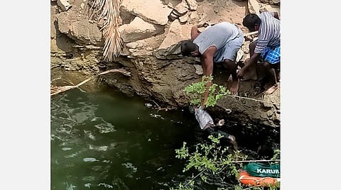 விவசாயக் கிணற்றிலிருந்து, காணாமல் போன சிறுவனின் சடலம் மீட்கப்படுகிறது.